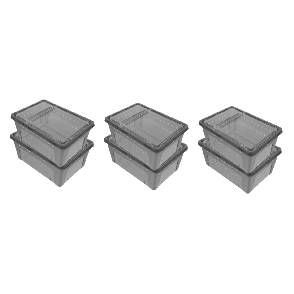 COLLBATH 6pezzi per Rettili per Allevamento Reptile per Gechi e Insetti Design e Facile e Osservare