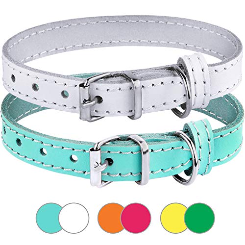 5 Best Cat Collars in 2022 Reviews & Top Picks Pango Pets