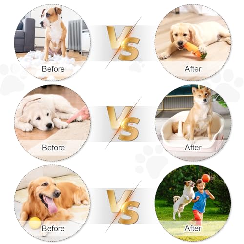 Feirdhoo Hunde Clicker,4 Stück Pet Training Clicker 2*Hundepfeife 2*Hunde Clicker Großem Knopf perfekt für Welpen und Dog Training und Erziehung Auch für Katzen Pferde (Schwarz + Weiß)
