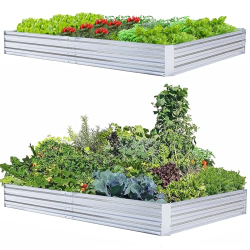 FOYUEE Galvanized Raised Garden Beds for Vegetables Large Metal Planter Box Steel Kit Flower Herb (8 x 4 x 1 ft * 2 Pack, Galvanized)
