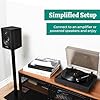 Electrohome Montrose Vinyl Record Player 2-Speed Belt-Drive Turntable, with Audio-Technica Stylus, Speed Control Motor, Built-in Preamp, Wood Plinth, Anti-resonant Platter, Auto-Stop (RR35B) #2