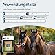 The Horse Vitality Company Basic Vital Mix 1kg Pulver | Ergänzungsfuttermittel für Pferde mit Kräutern & Magnesium | Für Vitalität, Konzentration & Verdauung | 100% natürlich | Made in Germany