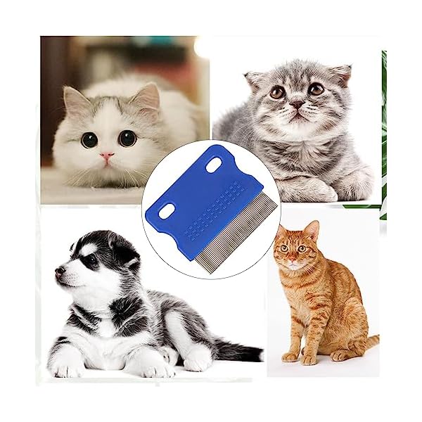 Katze Hund Flohkamm,Haustier Kamm Edelstahl Läusekamm,Haustier Hunde Katzen Pflege Werkzeug,Haustier Tränenfleckentferner Kämme,Haustier Pflegekamm(Blau) – Bild 6
