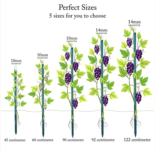 Image of BLOOMAX Combo Pack, 23 Pcs Plant Support Sticks, 3 Feet Wooden Garden Stakes - 12 Pcs (10mm) + 11 Pcs (14mm), Strong Hardwood Dowels for Gardening, Climbing Plants, Creepers, DIY & Craft Use