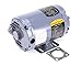 Wells WS-501205, Motor Filt 1P 115/230V 50
