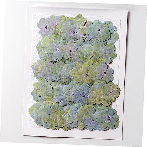 Flores secas prensadas para manualidades Levemolo 30 pcs miniatura 4
