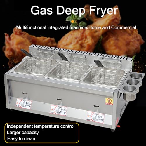 guoyjmm Professionelle Gas Fritteuse, Gewerbliche Fritteuse aus Edelstahl, zum Kochen von Speisen und Pommes Frites, zu Hause für das Familienkochen auf der Arbeitsplatte im Restaurant – Bild 3