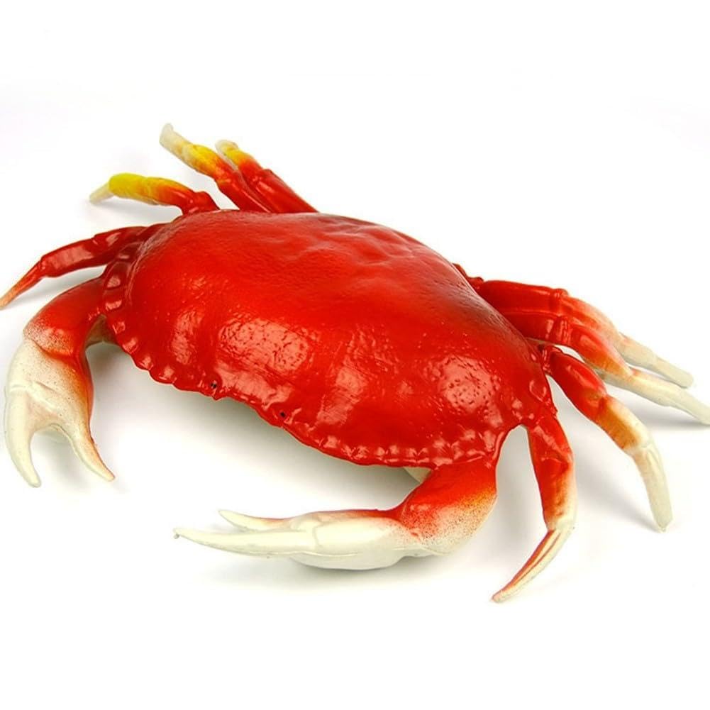 Gdfnmogo Realistic Lobster Model Plastic Simulation Crab Decoration Big Lobster Props Set for Marine Themed Party Home Decor(D)