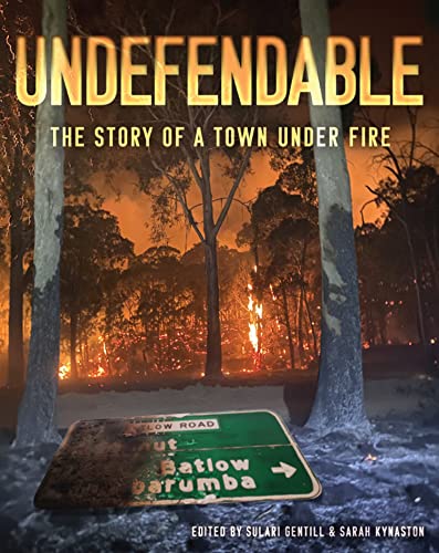 Undefendable: The Story of a Town Under Fire
