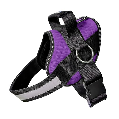 Joyride Basic Essential Dog Harness 1.0 - Small, Medium, Large Dogs, No-Pull Pet Vest with 3 Side Rings for Leash Placement, Adjustable for Training (Purple Majesty, S)
