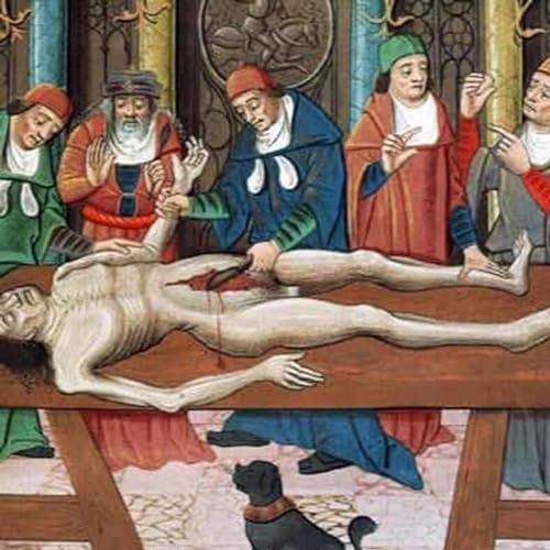 Death Tudor Style - (Medieval Medical Madness) Podcast Por  arte de portada
