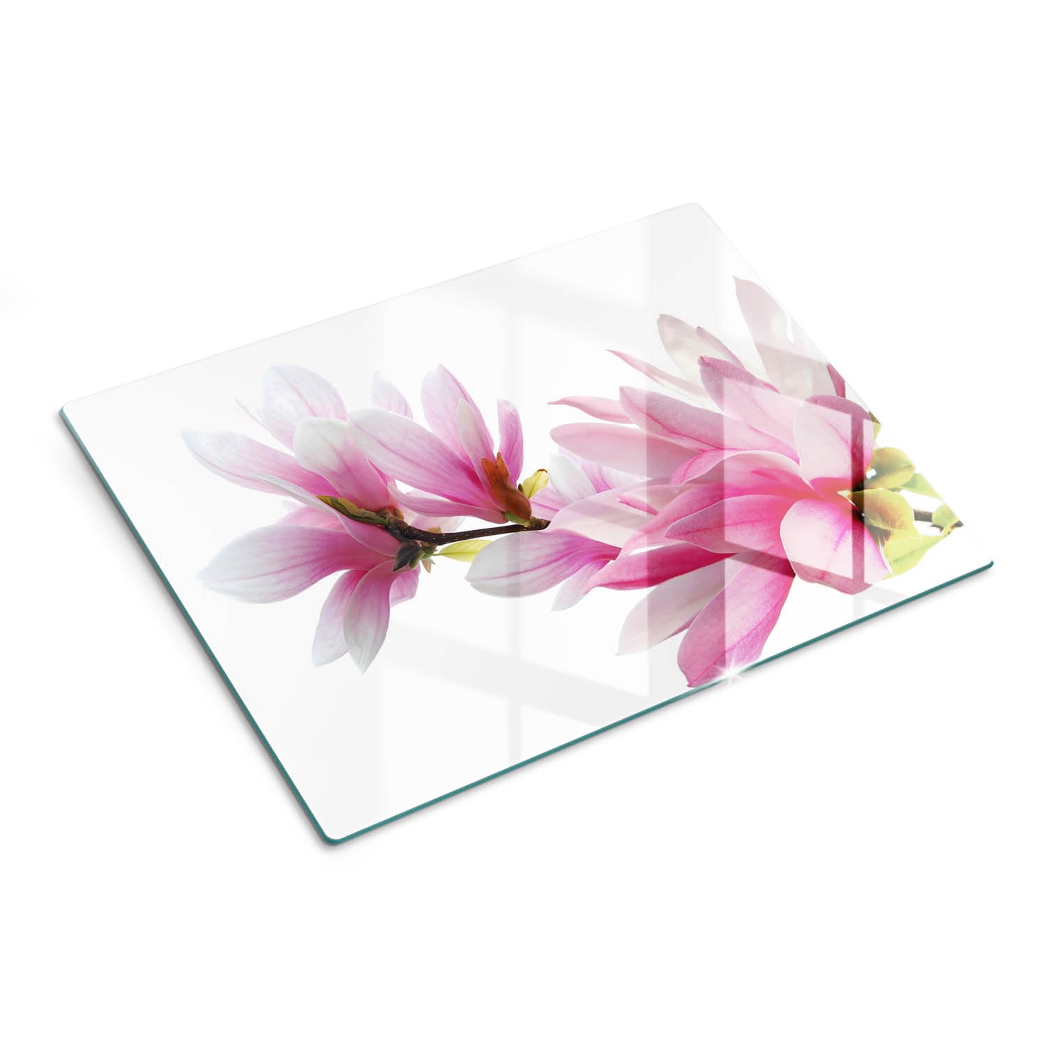 Multifunzione: Tagliere in vetro e coperchio 40x30 cm Magnolia