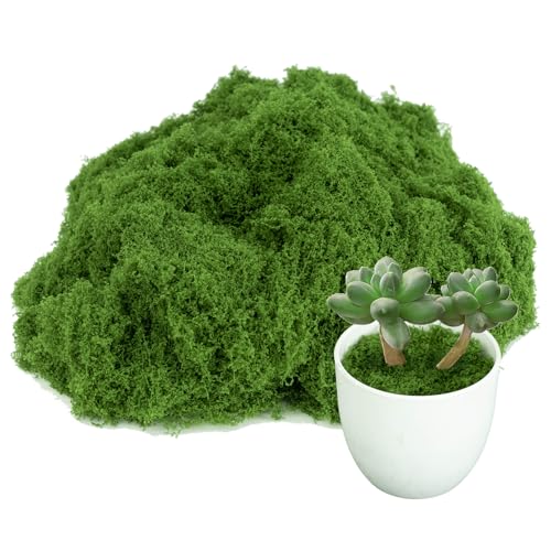 Fake Moss for Plants Indoor, Artificial Moss for Arts and Crafts, Faux Grass for Potted Fairy Garden DIY Model Making Walls Glass Containers Home Decor-3.5 OZ (Dark Green)