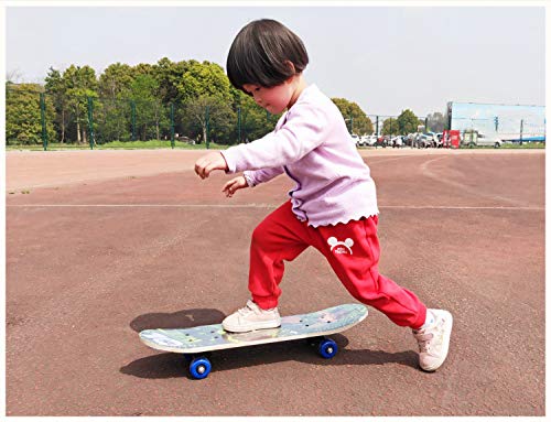 Msheng Skateboard For Kids Boys Girls Youths Beginners Starters Double Upright Four Wheel Anadian Maple Skateboard Outdoors L #TOP3