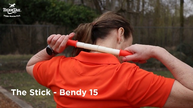 Amazon.com: Tiger Tail The Stick - Bendy 18” Flexible Muscle