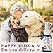 BestLife4Pets Pet Relax Anxiety Stress Calming Relief, Natural Homeopathic Formula for Travel, Fireworks, Thunderstorms, Long-Lasting Comfort and Tranquility, 400 Odorless, Tasteless Pills
