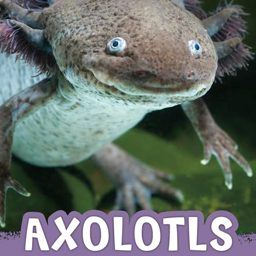 Axolotls by Jaclyn Jaycox episode artwork