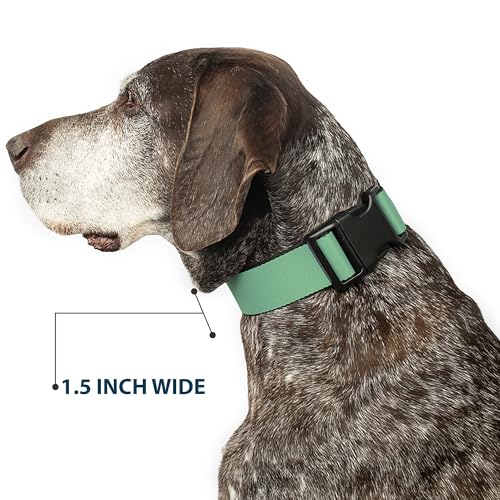 Collar Selva Verde Buckle Down para evitar escapes de perros pequeños con cierre rápido seguro 8