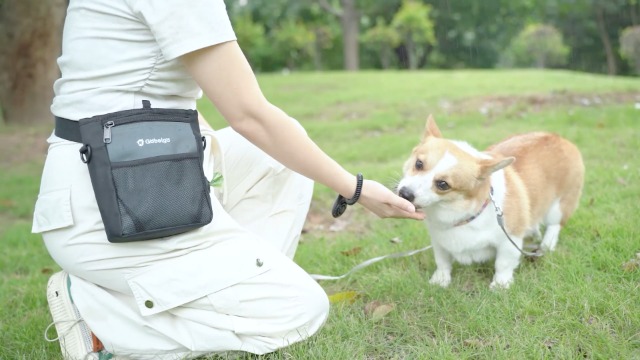 Gobeigo Dog Treat Pouch with Silicone Liner, 【4 Cup】【3 Ways to Wear 】 Treat Bag with Training Clicker, Front Pocket fits All Phones, Upgrade Stronger Magnetic Closure Walking Fanny Pack (Black) - image 7