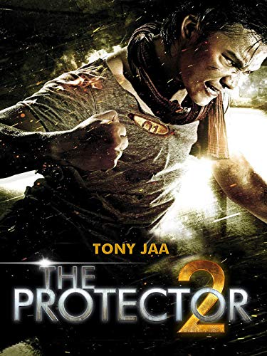  The Protector 2