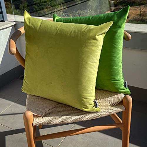 MARARDI Pack da 2 Federe per Cuscino in Morbido