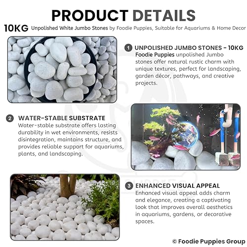 Image of Foodie Puppies Unpolished White Decorative Stones (10Kg, Jumbo Extra Large) (8cm - 12cm) for Garden Landscaping, Swimming Pools, Fish Tanks, Home Decor, Indoor & Outdoor Decorative Pebbles