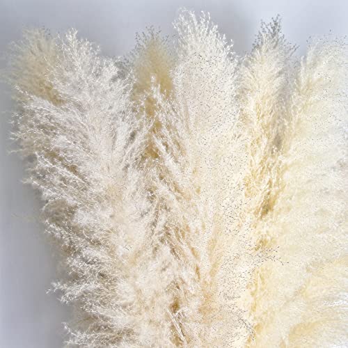 Image of 46 inch inch 10 Stems Natural Pampas Grass Decor Tall, Pompas Grass, Tall Pampas Grass for Weddingm, Farmhouse, Boho Home Decor (Ivory)