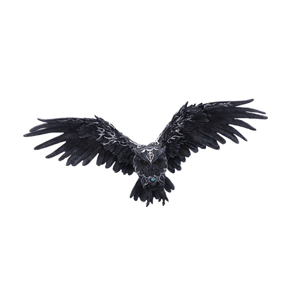 Nemesis Now Dark Feather, Black, 55cm