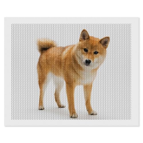ダイヤモンドアート かわいい 柴犬 犬柄 (2) ダイヤモンド絵画 5D ダイヤモンド塗装 DIY モザイクアート おしゃれ 全面貼り付 刺繍アート ビーズ絵 ダイヤモンド塗装 芸術品 ホーム装飾 ビーズ絵画 手作り 防水 プレゼント 16"x20"