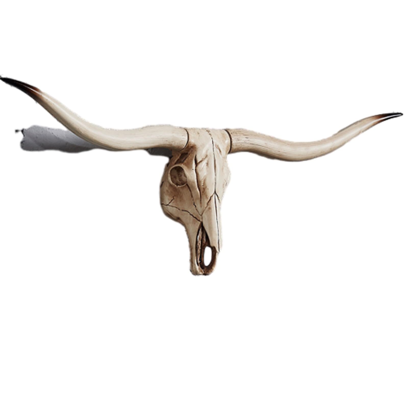 Cráneo de Animal de Cuerno Largo, cráneo de Vaca, Colgante de Pared, cráneo de Toro del suroeste, Escultura de Resina Decorativa (A)