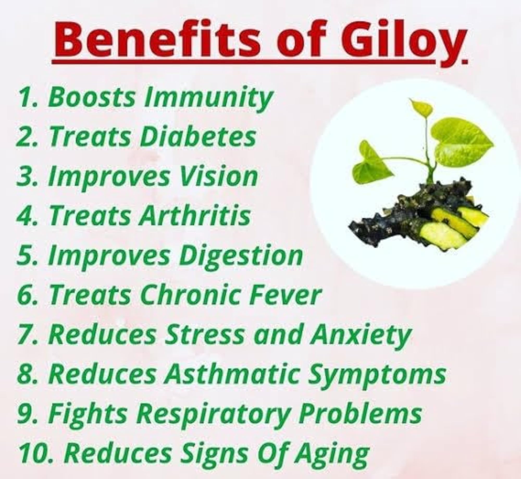 Ayurvedic Zone Giloy Powder, No Added Preservative