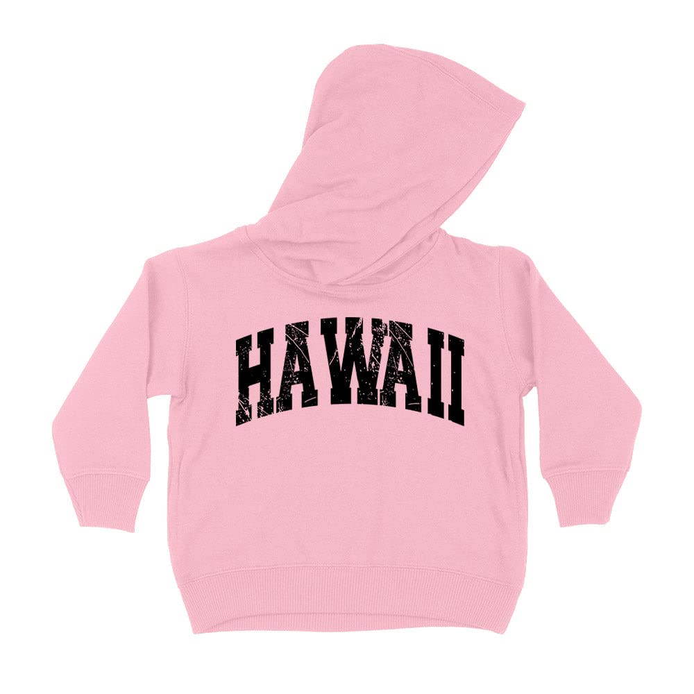 Distressed Hawaii Collegiate Kids Hoodie Sweatshirt Toddler 4T Light Pink