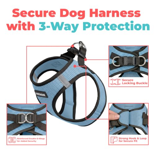 Image of Voyager Step-in Air Dog Vest Harness - Baby Blue /Black Trim, Large