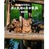 劇場版 岩合光昭の世界ネコ歩き あるがままに、水と大地のネコ家族