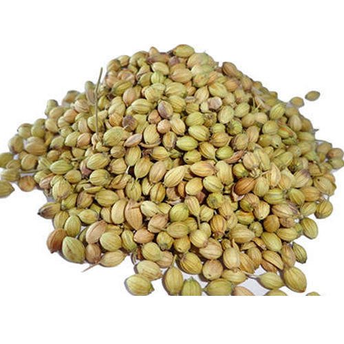 Vegetable Seeds Bank For Home Garden 10 Gram Coriander and Pumpkin (B09QXFCZ93) Amazon Price History, Amazon Price Tracker