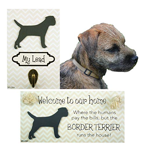 border terrier accessories