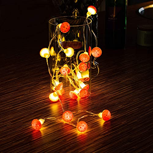 Filo di luci a forma di fungo, funzionamento a