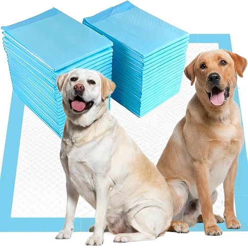 Image of Aurora Pet Dog and Puppy Pee Pads with 5-Layer Leak-Proof Design and Quick-Dry Surface for Potty Training, Super Absorbency, X-Large 24x35 Inch (40 Count) - Blue & White