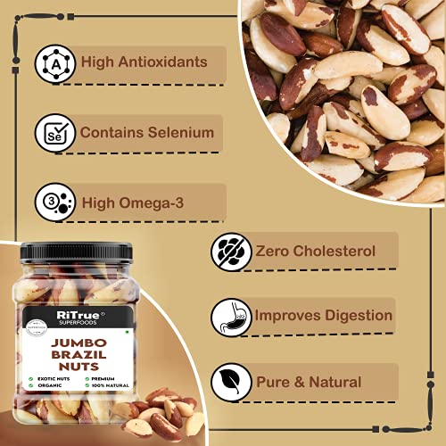 Image of RiTrue - Exotic Brazil Nuts - 250 Gm - Brazilian Nut Organic | Raw | Rich Source of Selenium Protein Rich - Imported from Peru