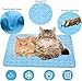 OUYULAI Kühlmatte für Hunde und Katzen, Selbstkühlende Hundematte, Ungiftig Kühlkissen für Haustiere, Waschbar Hund Kältematte für Drinnen, Draußen und Auto, Blau,60 * 50cm