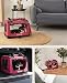 lionto Hundetransportbox faltbar für Reise & Auto, 50x34x36 cm, stabile Transportbox mit Griffen & Decke für Katzen & Hunde bis 10 kg, Hundebox aus Stoff für klein & groß, dunkelrot (Namensaufdruck)
