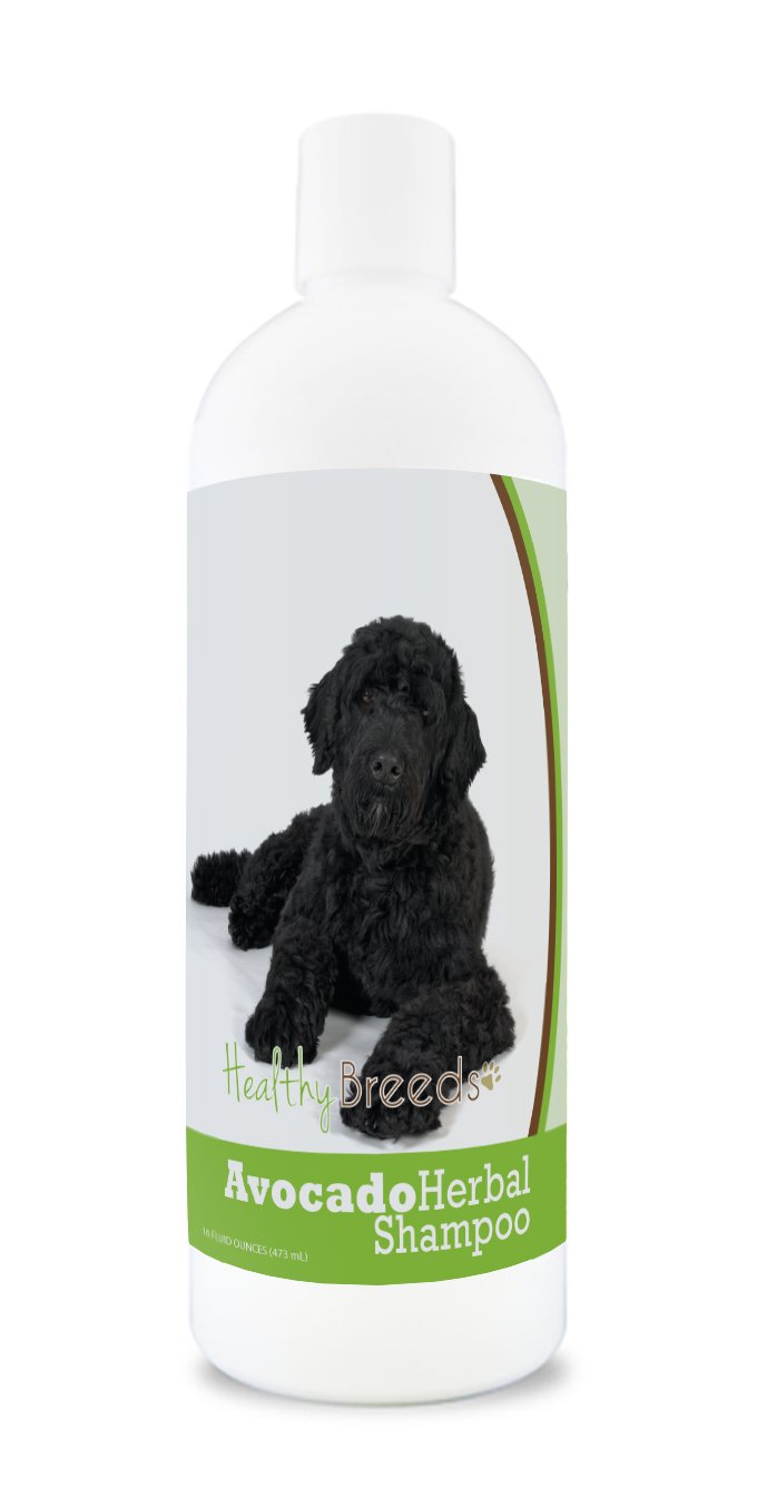 Healthy Breeds Portuguese Water Dog Avocado Herbal Dog Shampoo 16 oz