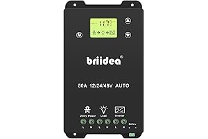 Automatic Transfer Switch For Off The Grid Living With Dual Power ATS Solar Wind System