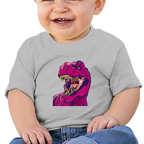 Di-No Fre-Nzy First Birthday T Shirt One Year Old Baby Boy Party Gift Top Gray