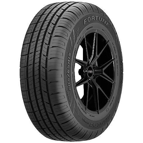 Fortune FSR602 215/55R17 94V