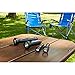 Coleman Battery Guard 250m LED Flashlight Black