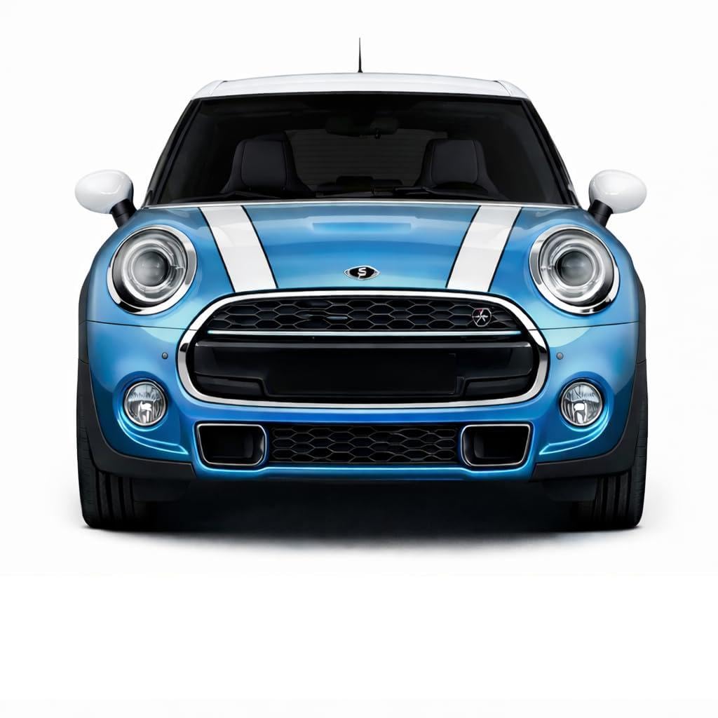 Bonnet & Boot Racing Stripes Kit – White Double Hood & Tail Stripes with Black Pinstripe Vinyl Decal Sticker for MINI Cooper
