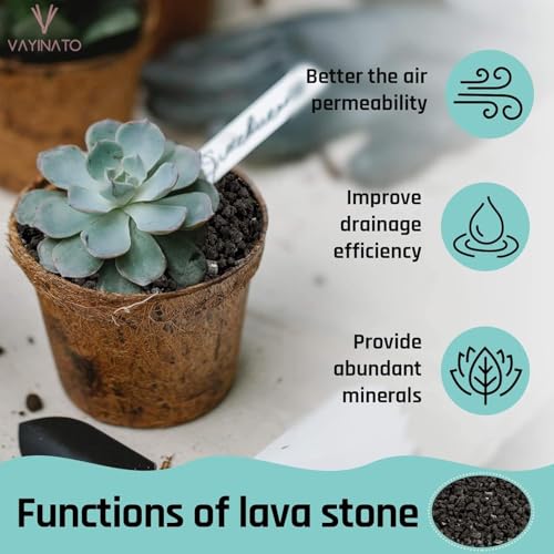 Image of VAYINATO 5-8 Mm (2 Kg) Natural Volcanic Black Lava Chips, Versatile Pebbles for Fish Tank Landscaping, Succulent Planters, Vase Filler & Garden Accents, Indoor Outdoor Gas Fyre Pits Fyreplaces