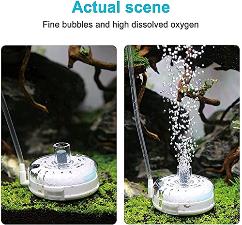 Image of UPETTOOLS Mini Aquarium Sponge Filter, Small Internal Fish Tank Filter Detachable Submersible Filter with Air Stone auxiliary filter Suitable for 5-20 Gallon Tank (Air Pumps and Air Tube not Included)