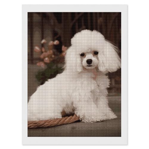 Peinture diamant 5D caniche pour débutant sans stress 30x40cm